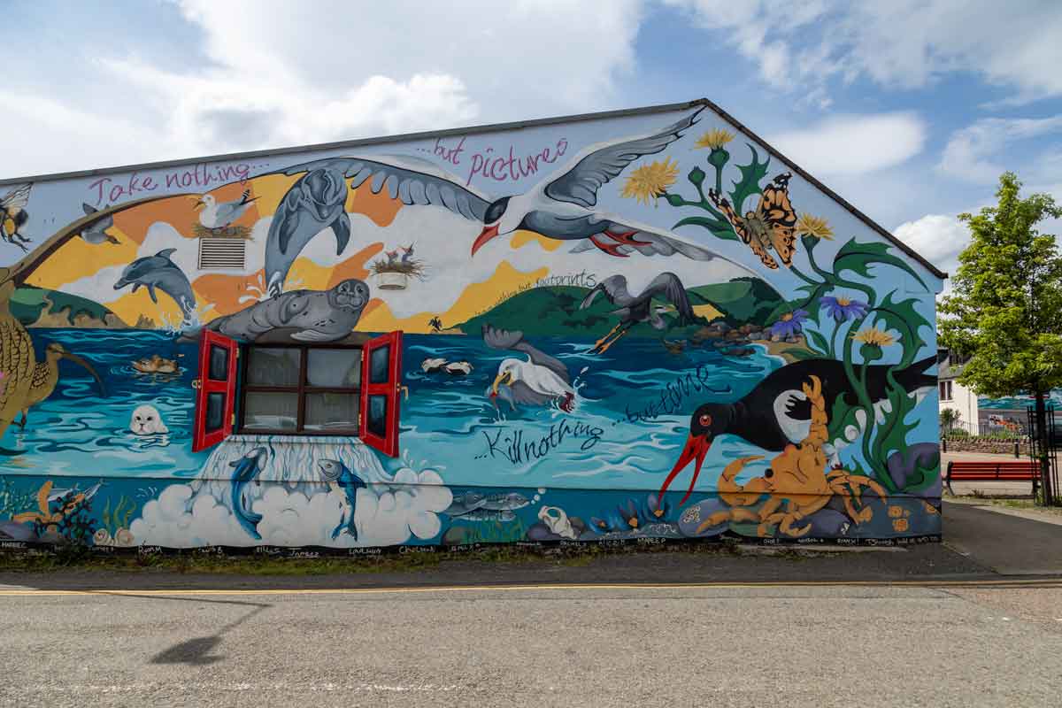 Invergordon Murial animals